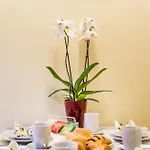 Orange In The Heart Of With Free Garage Apartament *